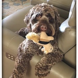 Meet your Posher, Virginia